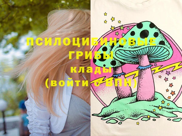 молекула духа Зеленокумск
