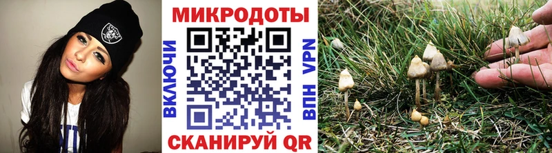 Псилоцибиновые грибы мухоморы  как найти закладки  Ленинск-Кузнецкий 